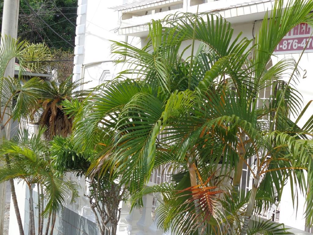 Bethel Court Guesthouse Montego Bay Exterior foto